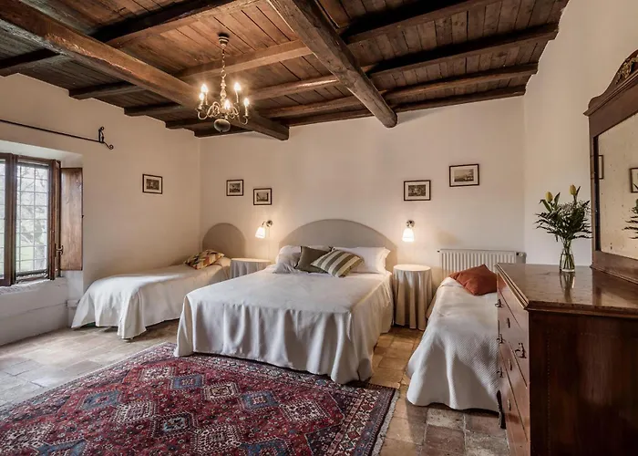 Arzilla * Vitorchiano